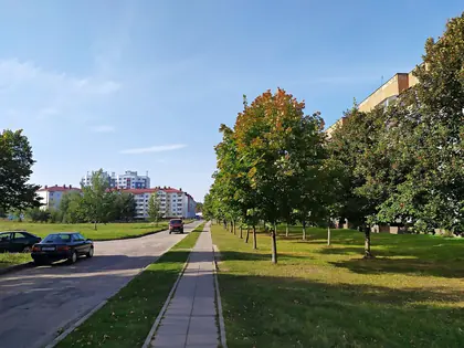 КП Дружный, фото 2