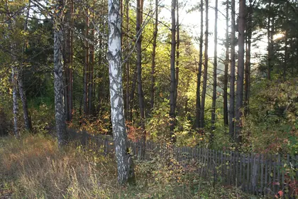 КП Золотая Долина, фото 2