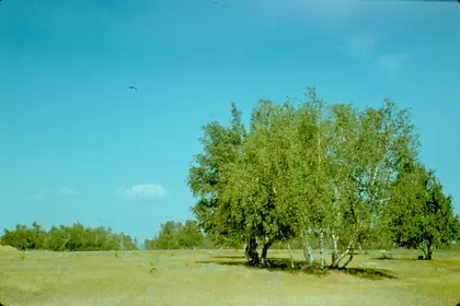 КП Берёзки, фото 1