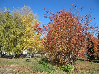 КП Берёзки, фото 4