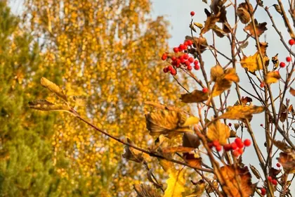 КП Новое Сёмкино, фото 6