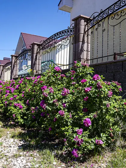 КП Ильинка, фото 2
