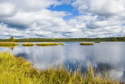 КП Орловское, фото 3