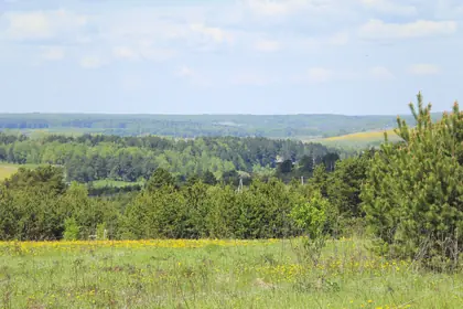 КП Журавлёво-2, фото 1