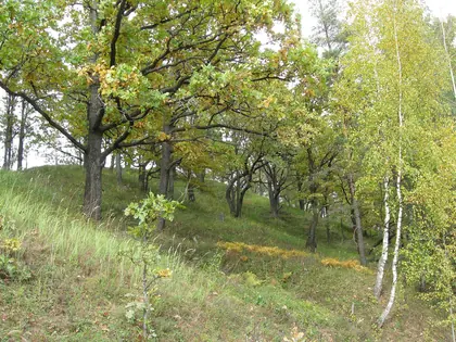 КП Дубрава, фото 5