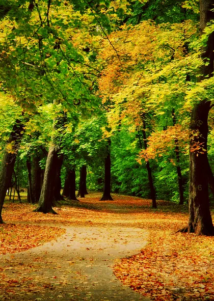 ЖК Южный Парк, фото 5