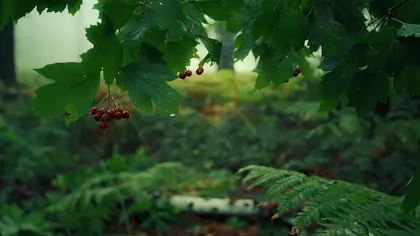 ЖК Эко-квартал Flora&Fauna, фото 1