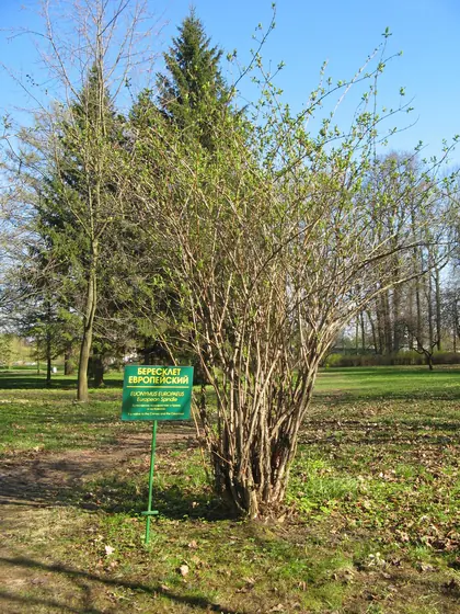 ЖК Европейский, фото 6