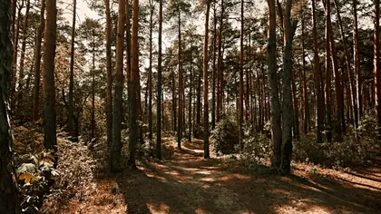 ЖК Первая Линия. Гавань, фото 3