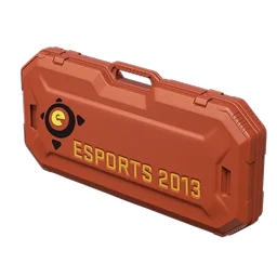 Кейс eSports 2013