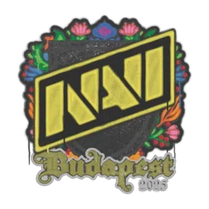 Natus Vincere | Budapest 2025