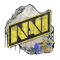 Natus Vincere | Rio 2022