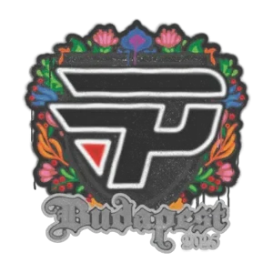 paiN Gaming | Budapest 2025