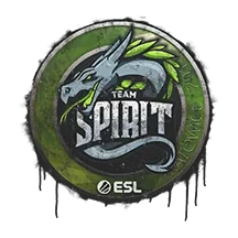 Team Spirit | Katowice 2019