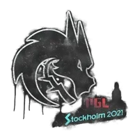 Team Spirit | Stockholm 2021