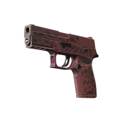 P250 | Загрязнитель