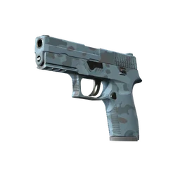 P250 | Лесная ночь