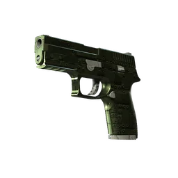 P250 | Железное покрытие