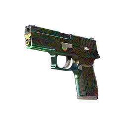 P250 | Видения