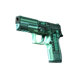 P250 | Рентген