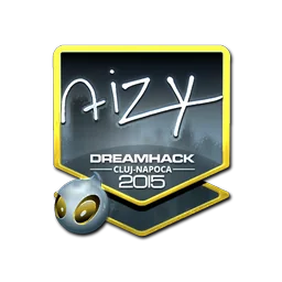 aizy (металлическая) | Клуж-Напока-2015