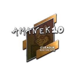 AmaNEk | Бостон-2018