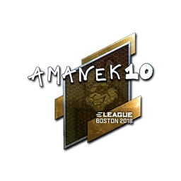 AmaNEk (металлическая) | Бостон-2018