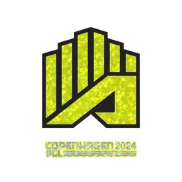 AMKAL ESPORTS (с блёстками) | Копенгаген-2024