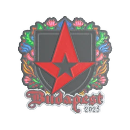 Astralis (вышитая) | Будапешт-2025