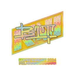 b1t (голографическая) | Копенгаген-2024