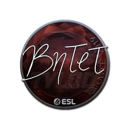 BnTeT (металлическая) | Катовице-2019