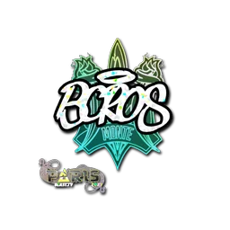 BOROS (с блёстками) | Париж-2023