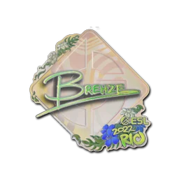 Brehze (голографическая) | Рио-2022