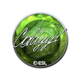 COLDYY1 (металлическая) | Катовице-2019