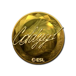 COLDYY1 (золотая) | Катовице-2019
