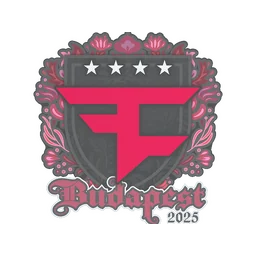 FaZe Clan | Будапешт-2025