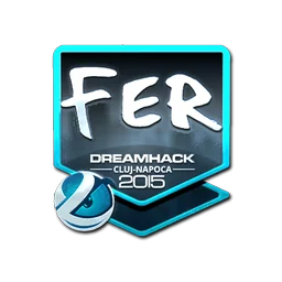 fer (металлическая) | Клуж-Напока-2015
