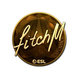 fitch (золотая) | Катовице-2019