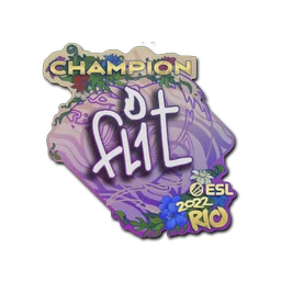 FL1T (чемпион) | Рио-2022
