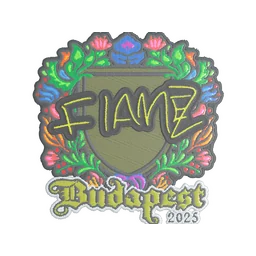 FlameZ (вышитая) | Будапешт-2025