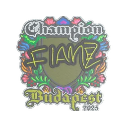 FlameZ (вышитая, чемпион) | Будапешт-2025