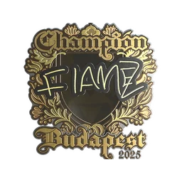 FlameZ (золотая, чемпион) | Будапешт-2025