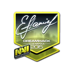 flamie (металлическая) | Клуж-Напока-2015