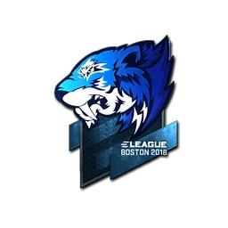 Flash Gaming (металлическая) | Бостон-2018