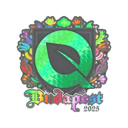 FlyQuest (голографическая) | Будапешт-2025
