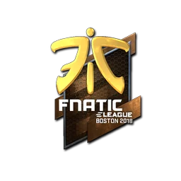 Fnatic (металлическая) | Бостон-2018