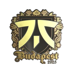 Fnatic (золотая) | Будапешт-2025