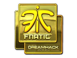 Fnatic (золотая) | DreamHack 2014