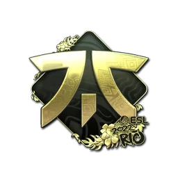 Fnatic (золотая) | Рио-2022
