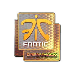 Fnatic (голографическая) | DreamHack 2014